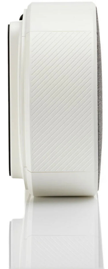 Dali Katch One Blanc et Silver (Blanc montagne) - EasyLounge - 13