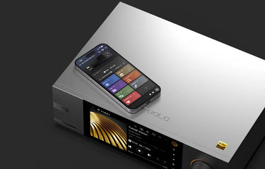Eversolo DMP-A6 Master Edition Gen 2 Silver - EasyLounge - 14