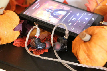 FiiO FA9 Noir - EasyLounge - 16