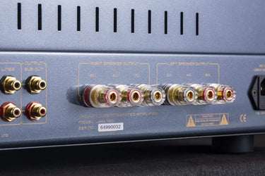 Cayin Jazz 100 Silver - EasyLounge - 15