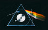 Pro-ject The Dark Side of the Moon Limited Edition - EasyLounge - 12