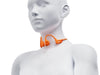 Shokz Open RunPro 2 Orange - EasyLounge - 26