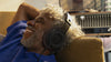 Philips Freddie (SHP9500CY) - EasyLounge - 16