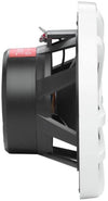 JBL Marine Stage 6 white (la paire) - EasyLounge - 4