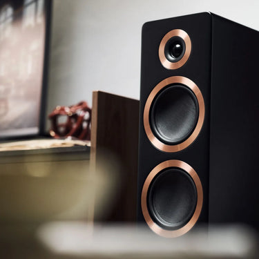 Argon Audio Forte A55 WiFi Noir - EasyLounge - 3
