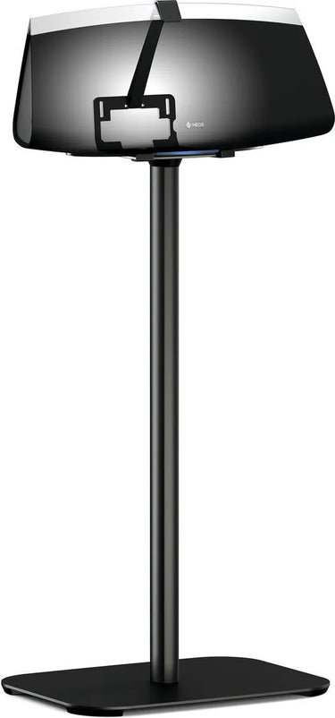 Vogel