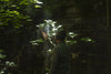 Meze Audio 105 AER - EasyLounge - 4