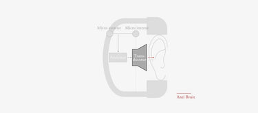 Final UX3000SV - EasyLounge - 15