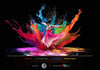 TCL 65C8L - EasyLounge - 24