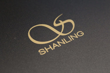 Shanling CA 80 Noir - EasyLounge - 11