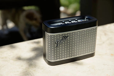 Fender Newport Noir - EasyLounge - 9