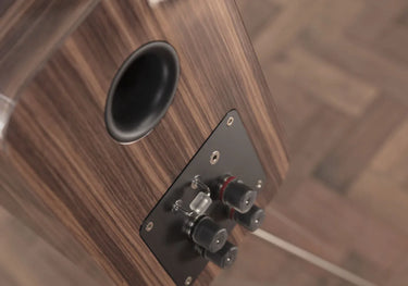 Q Acoustics Concept 300 Noir et Noyer - EasyLounge - 12