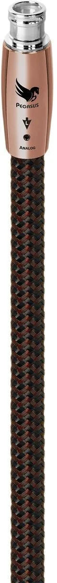 Audioquest Pegasus XLR (3 m) - EasyLounge - 6