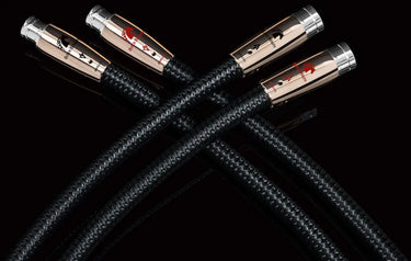 Audioquest Black Beauty XLR (1,5 m) - EasyLounge - 7
