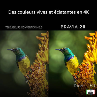 Sony 43 Bravia 2 II - EasyLounge - 2