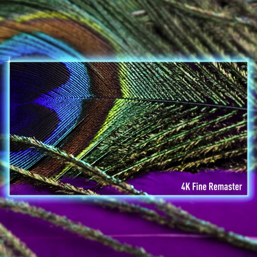 Panasonic TV-85W95BEG - EasyLounge - 28