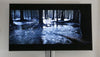 Samsung QE55Q90R - EasyLounge - 26