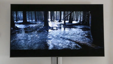Samsung QE55Q90R - EasyLounge - 26
