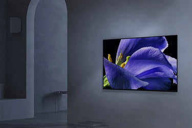Sony KD-55AG9 - EasyLounge - 14
