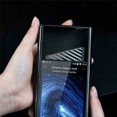 FiiO SK-M11 Pro - EasyLounge - 5