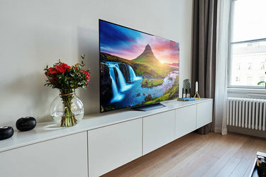 LG Electronics OLED55B9 - EasyLounge - 18