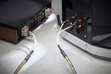 QED Golden Anniversary XT - EasyLounge - 3