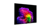 LG Electronics OLED55G6 - EasyLounge - 15