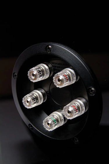 Tannoy Precision 6.4 Noyer laqué - EasyLounge - 9