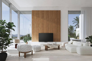Panasonic TV-55Z95B - EasyLounge - 20