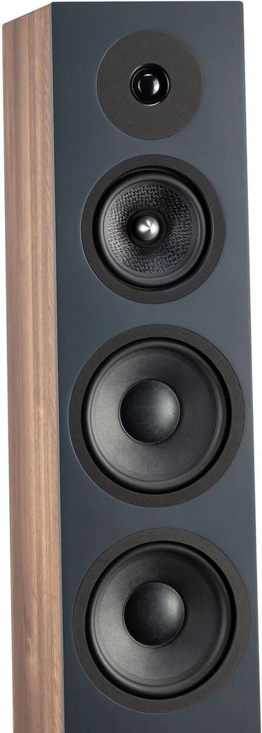 Davis Acoustics Krypton 9 Noyer - EasyLounge - 8