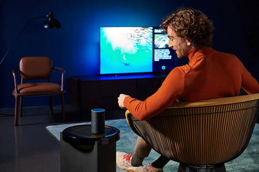 Philips 65OLED805 - EasyLounge - 15