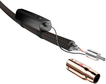 Audioquest Pegasus RCA (0,6 m) - EasyLounge - 12