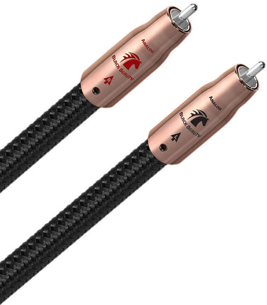 Audioquest Black Beauty RCA (0,6 m) - EasyLounge - 9