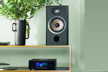 Focal Aria Evo X N°1 Noir laqué - EasyLounge - 3