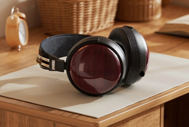 FiiO FT13 Noir - EasyLounge - 8
