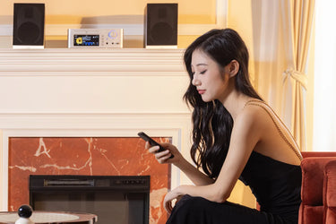 Shanling SCD 1.3 Silver - EasyLounge - 6
