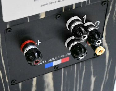 Davis Acoustics MV One Master Ébène laqué - EasyLounge - 5