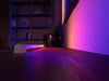 Philips Hue Play Gradient Tube Blanc (60" et plus) - EasyLounge - 3