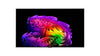 LG Electronics OLED65G6 - EasyLounge - 16