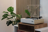 Eltax Spinster - EasyLounge - 14