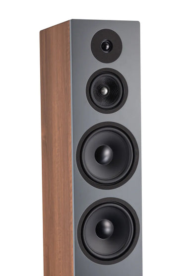 Davis Acoustics Krypton 10 Noyer - EasyLounge - 4