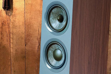 Focal Chora 816 Bois foncé - EasyLounge - 3