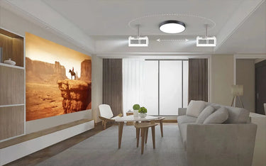 ViewSonic X1 - EasyLounge - 16
