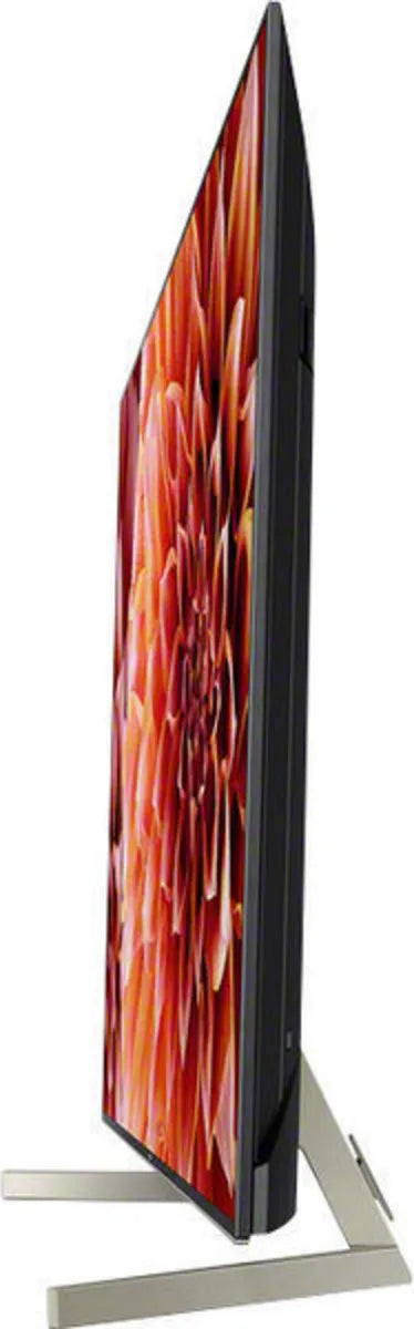 Sony KD-65XF9005 - EasyLounge - 4