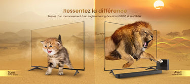 Hisense HS2100 - EasyLounge - 21