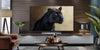 LG Electronics OLED48G6 - EasyLounge - 2