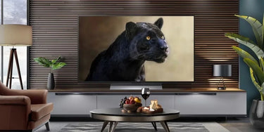 LG Electronics OLED48G6 - EasyLounge - 2