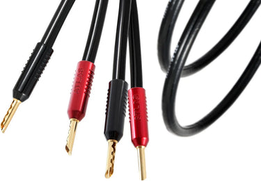 Atlas Hyper Achromatic Z 3.5 Banane (10 m) - EasyLounge - 4