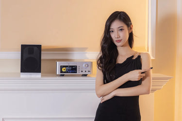 Shanling SCD 1.3 Silver - EasyLounge - 7