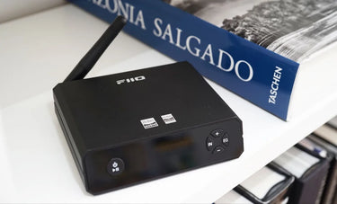 FiiO BR13 - EasyLounge - 13
